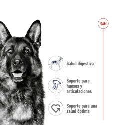 Royal Canin Maxi Adult, 10 x 140 Gr