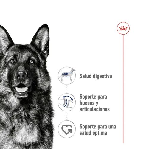 Royal Canin Maxi Adult, 10 x 140 Gr