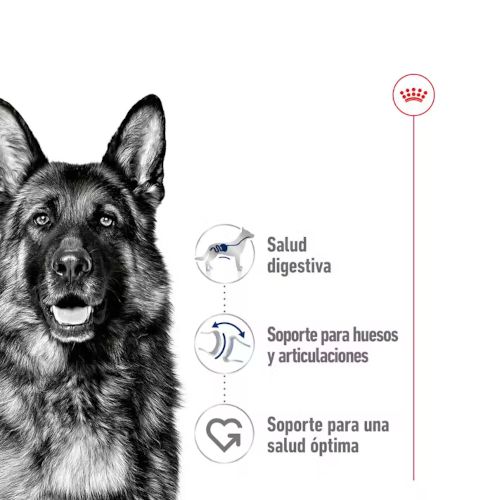 Royal Canin Maxi Adult,  10 x 140 gr