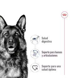 Royal Canin Maxi Ageing, 10 x 140 gr