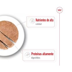 Royal Canin Maxi Ageing, 12 x 410 Gr