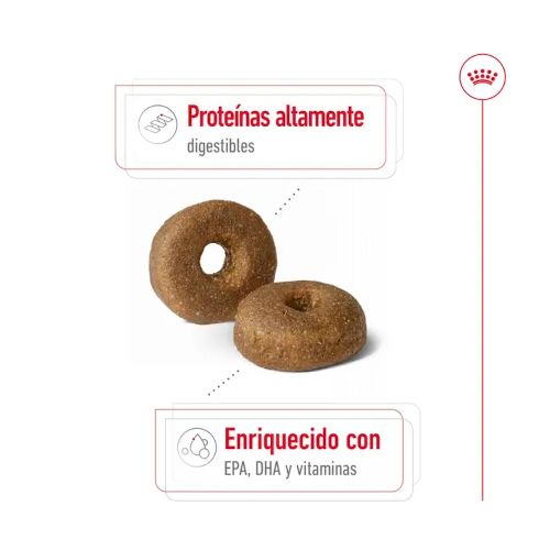 Royal Canin Maxi Ageing +8, 15 Kg