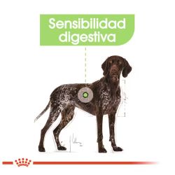 Royal Canin Maxi Digestive Care 12 Kg