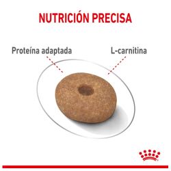 Royal Canin Maxi Light Weight Care, 12 Kg