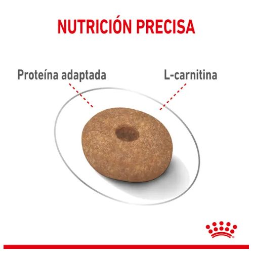 Royal Canin Maxi Light Weight Care, 12 Kg