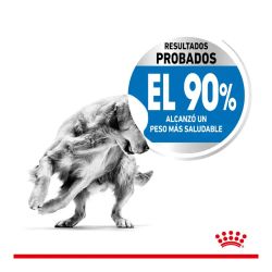 Royal Canin Maxi Light Weight Care