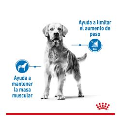 Royal Canin Maxi Light Weight Care