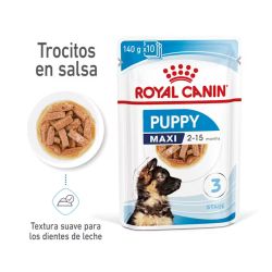 Royal Canin Maxi Puppy, 10 x 140 Gr