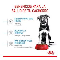 Royal Canin Maxi Puppy