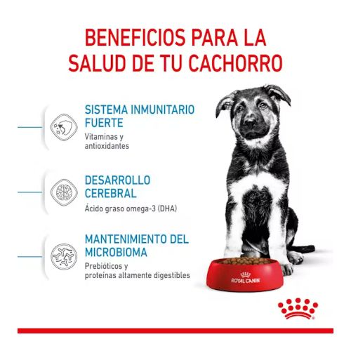 Royal Canin Maxi Puppy