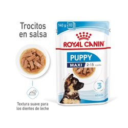 Royal Canin Maxi Puppy