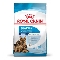 Royal Canin Maxi Starter