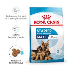 Royal Canin Maxi Starter