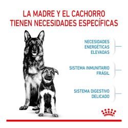 Royal Canin Maxi Starter