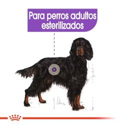 Royal Canin Maxi Sterilised 12 Kg