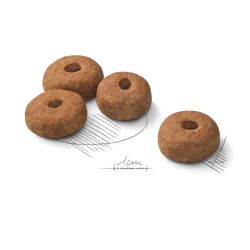 Royal Canin Maxi Sterilised 12 Kg