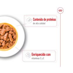 Royal Canin Medium Adult, 10 x 140 Gr
