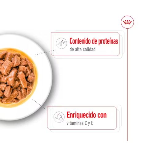 Royal Canin Medium Adult, 10 x 140 Gr