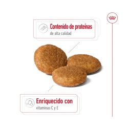 Royal Canin Medium Adult 7+