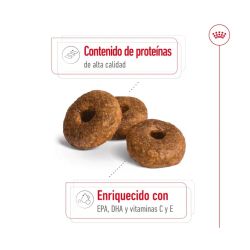 Royal Canin Medium Ageing +10