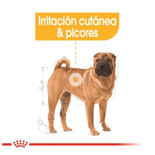 Royal Canin Medium Dermacomfort, 12 kg