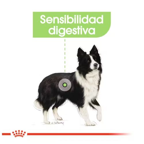 Royal Canin Medium Digestive Care, 12 Kg