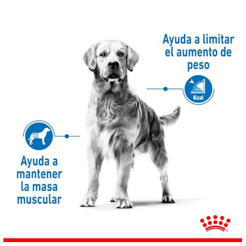 Royal Canin Medium Light Weight Care 12 Kg