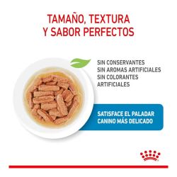 Royal Canin Medium Puppy, 10 x 140 Gr