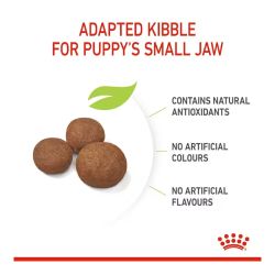Royal Canin Medium Puppy