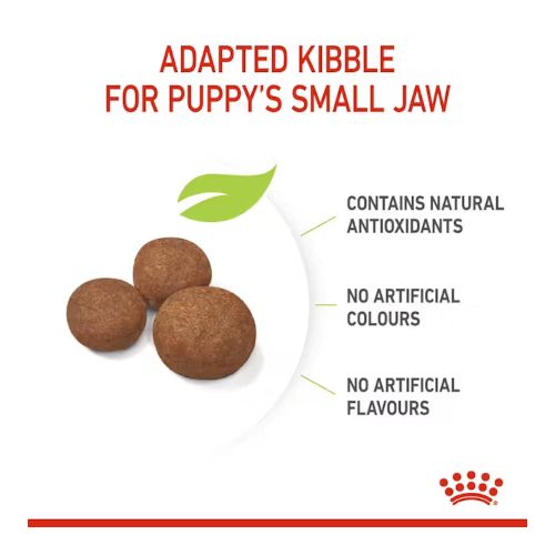 Royal Canin Medium Puppy