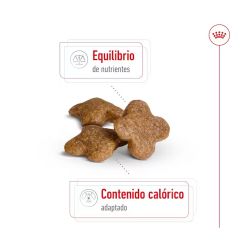 Royal Canin Mini Adult 8+