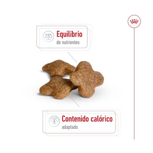 Royal Canin Mini Adult 8+