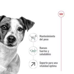 Royal Canin Mini Adult 8+