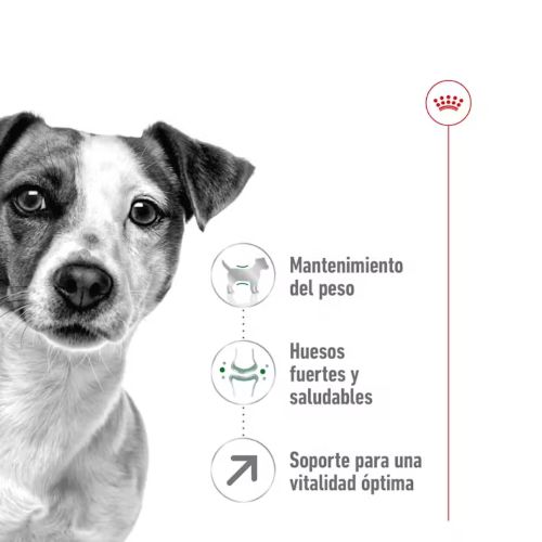 Royal Canin Mini Adult 8+