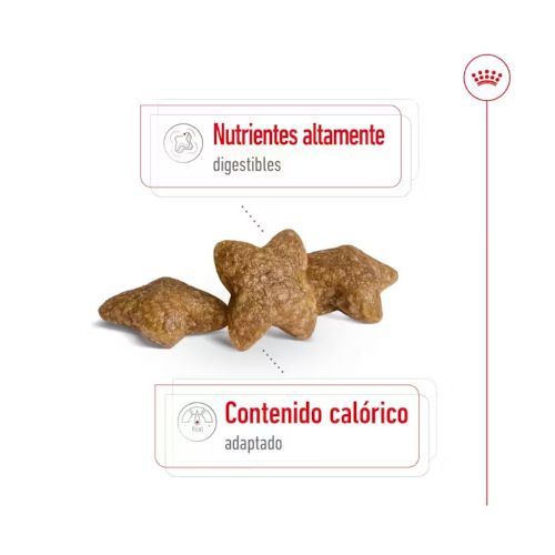 Royal Canin Mini Adult
