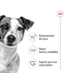 Royal Canin Mini Adult