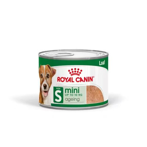 Royal Canin Mini Ageing Latas, 12 x 195 Gr