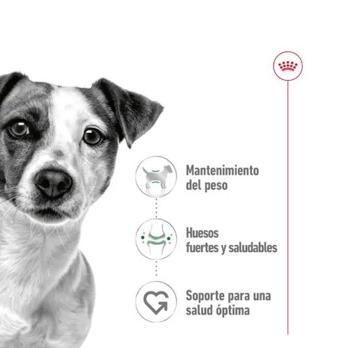Royal Canin Mini Ageing Latas, 12 x 195 Gr
