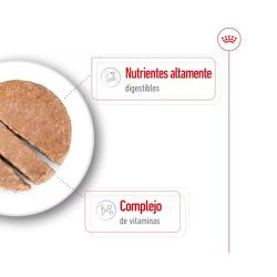 Royal Canin Mini Ageing Latas, 12 x 195 Gr