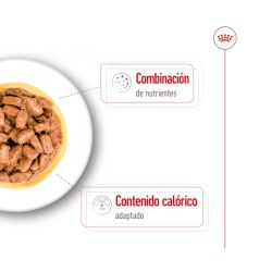 Royal Canin Mini Ageing, 12 x 85 Gr