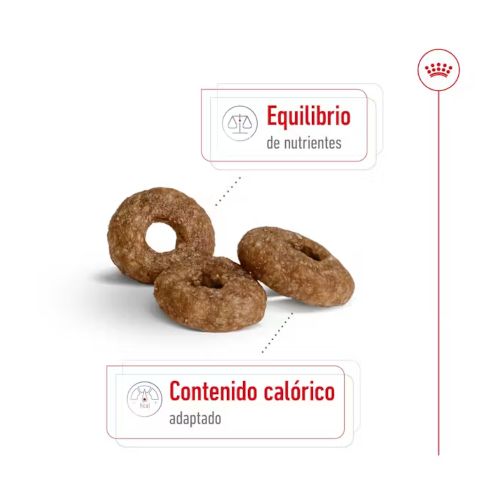 Royal Canin Mini Ageing 12+