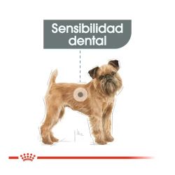 Royal Canin Mini Dentalcare, 3 Kg