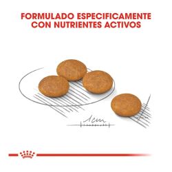 Royal Canin Mini Dermacomfort