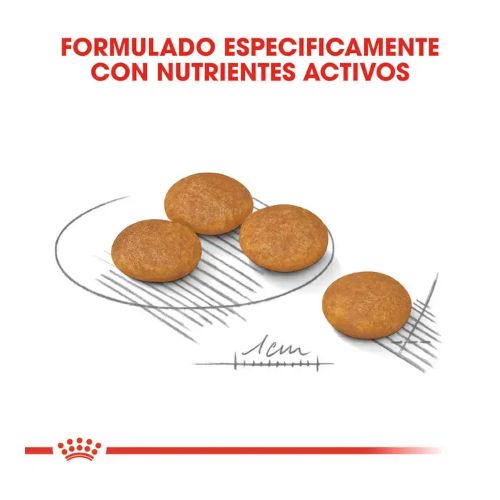 Royal Canin Mini Dermacomfort