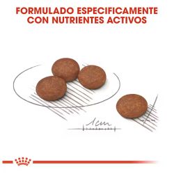 Royal Canin Mini Digestive Care 8 kg