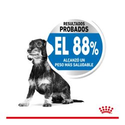 Royal Canin Mini Light Weight Care