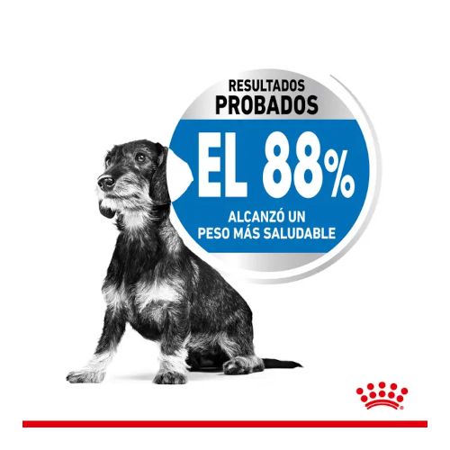 Royal Canin Mini Light Weight Care