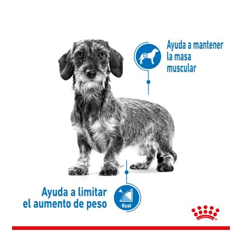 Royal Canin Mini Light Weight Care