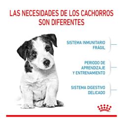 Royal Canin Mini Puppy