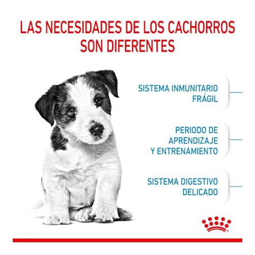 Royal Canin Mini Puppy